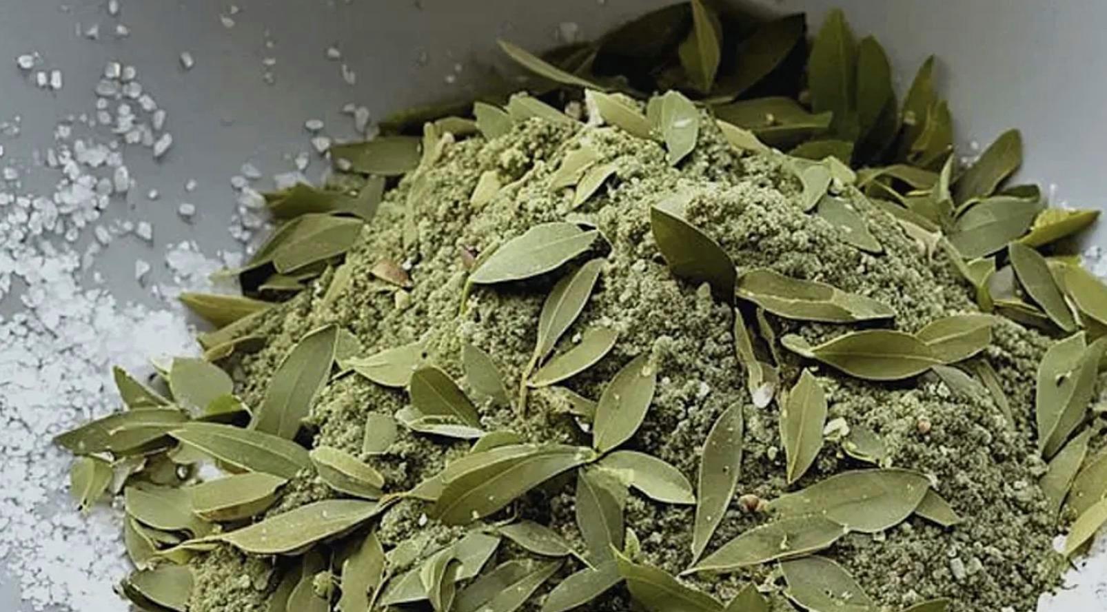 Extrakt meduňky lékařské